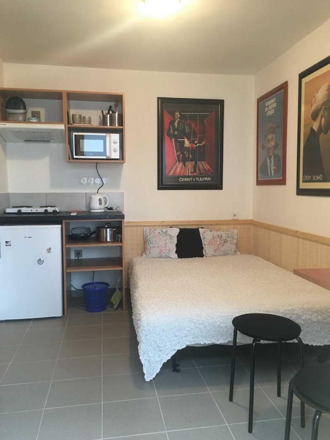 Male Utulne Studio S Koupelnou A Kuchynkou Svinarov Eksteriør billede